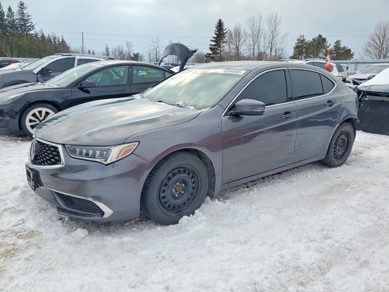 2019 ACURA TLX