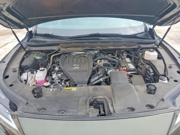 2023 LEXUS RX 350
