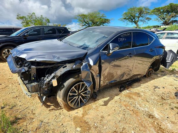 2024 LEXUS NX 250 PRE 250 Premium — Front 3/4