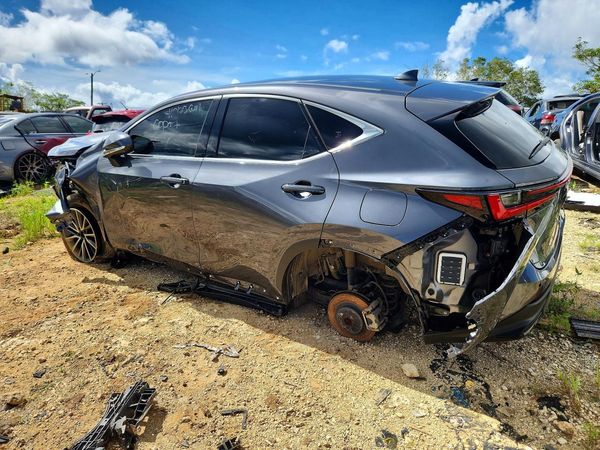 2024 LEXUS NX 250 PRE 250 Premium — DSRA