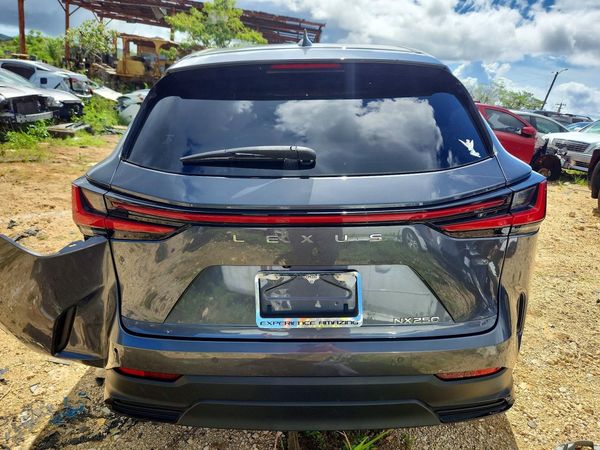 2024 LEXUS NX 250 PRE 250 Premium — DIRR