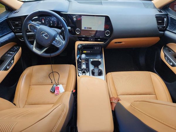 2024 LEXUS NX 250 PRE 250 Premium — CKPT