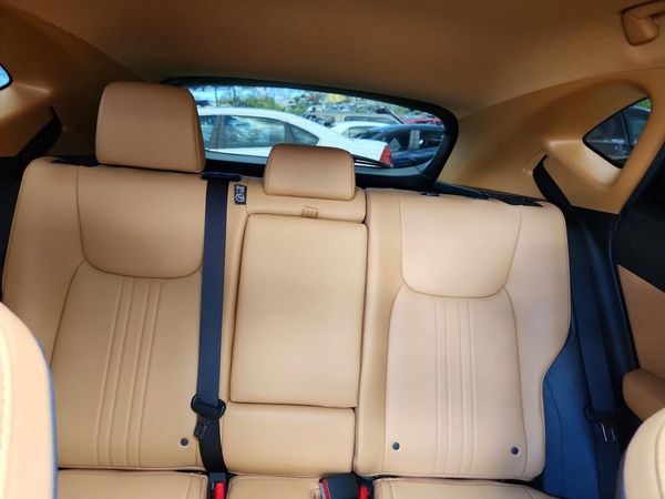 2024 LEXUS NX 250 PRE 250 Premium — SUVN
