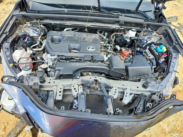 2024 LEXUS NX 250 PRE 250 Premium — Engine bay