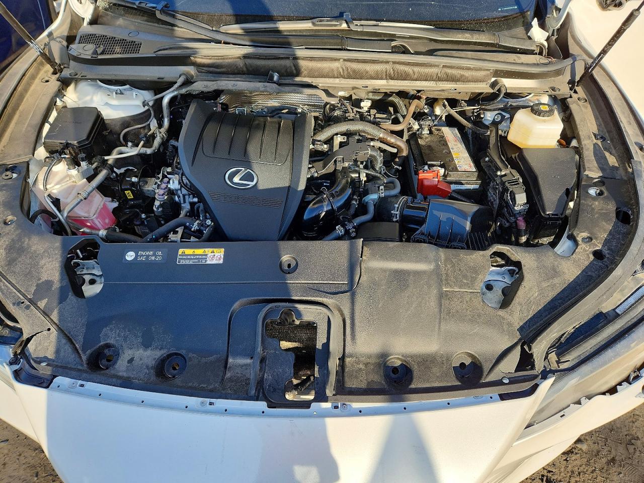 2025 LEXUS RX 350