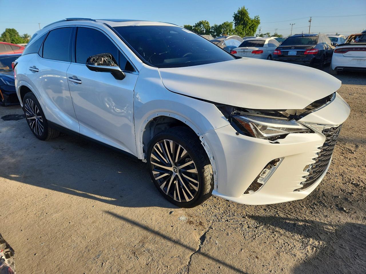 2025 LEXUS RX 350
