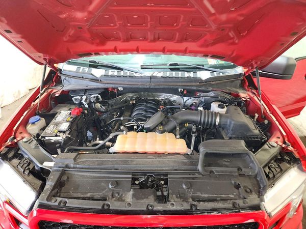 2019 FORD F150