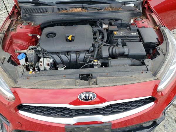2019 KIA FORTE