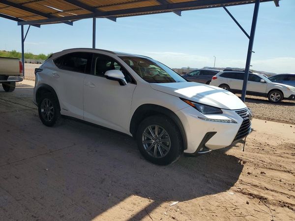 2019 LEXUS NX 300H Luxury