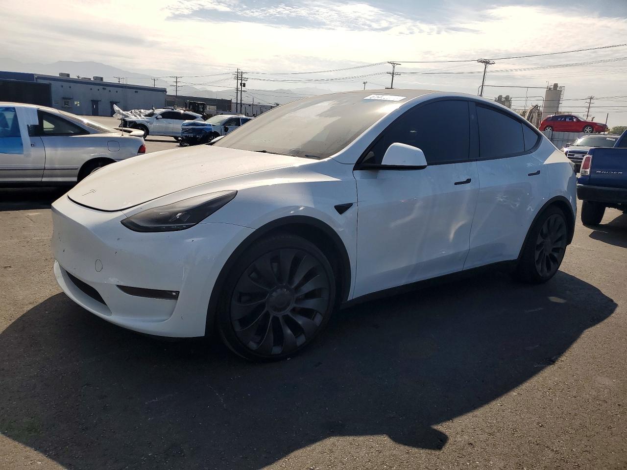 2024 TESLA MODEL Y