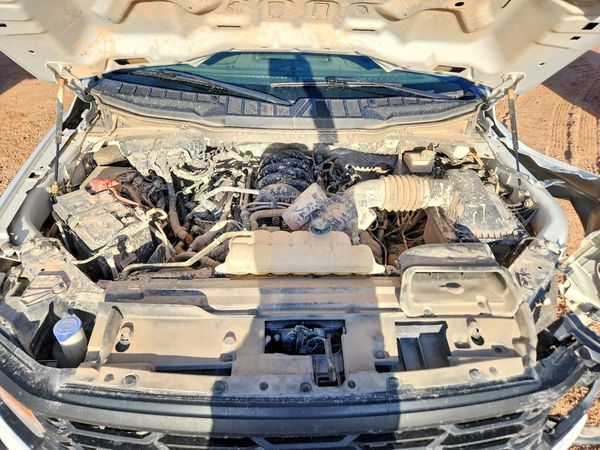 2024 FORD F150