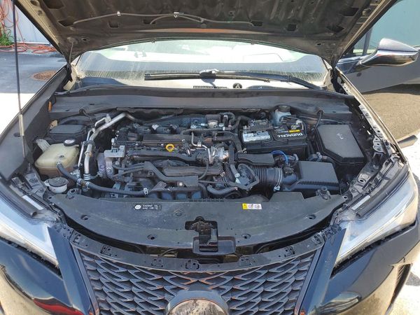 2019 LEXUS UX