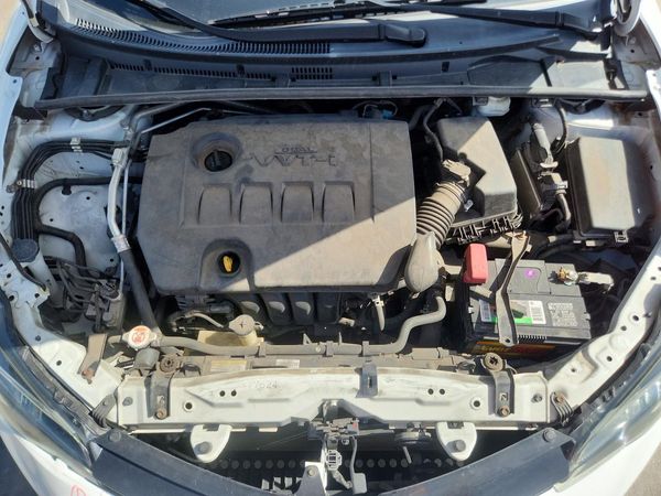 2019 TOYOTA COROLLA L/LE/SE/XLE/XSE