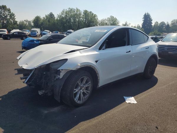 2021 TESLA MODEL  Y
