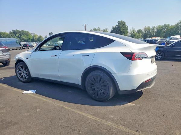 2021 TESLA MODEL  Y