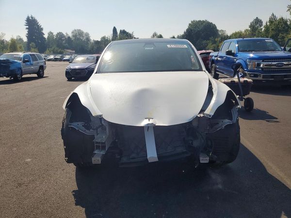 2021 TESLA MODEL  Y