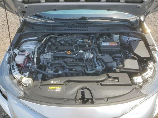 2023 TOYOTA COROLLA