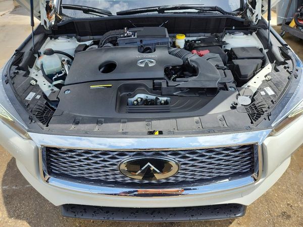 2022 INFINITI QX50 Luxe