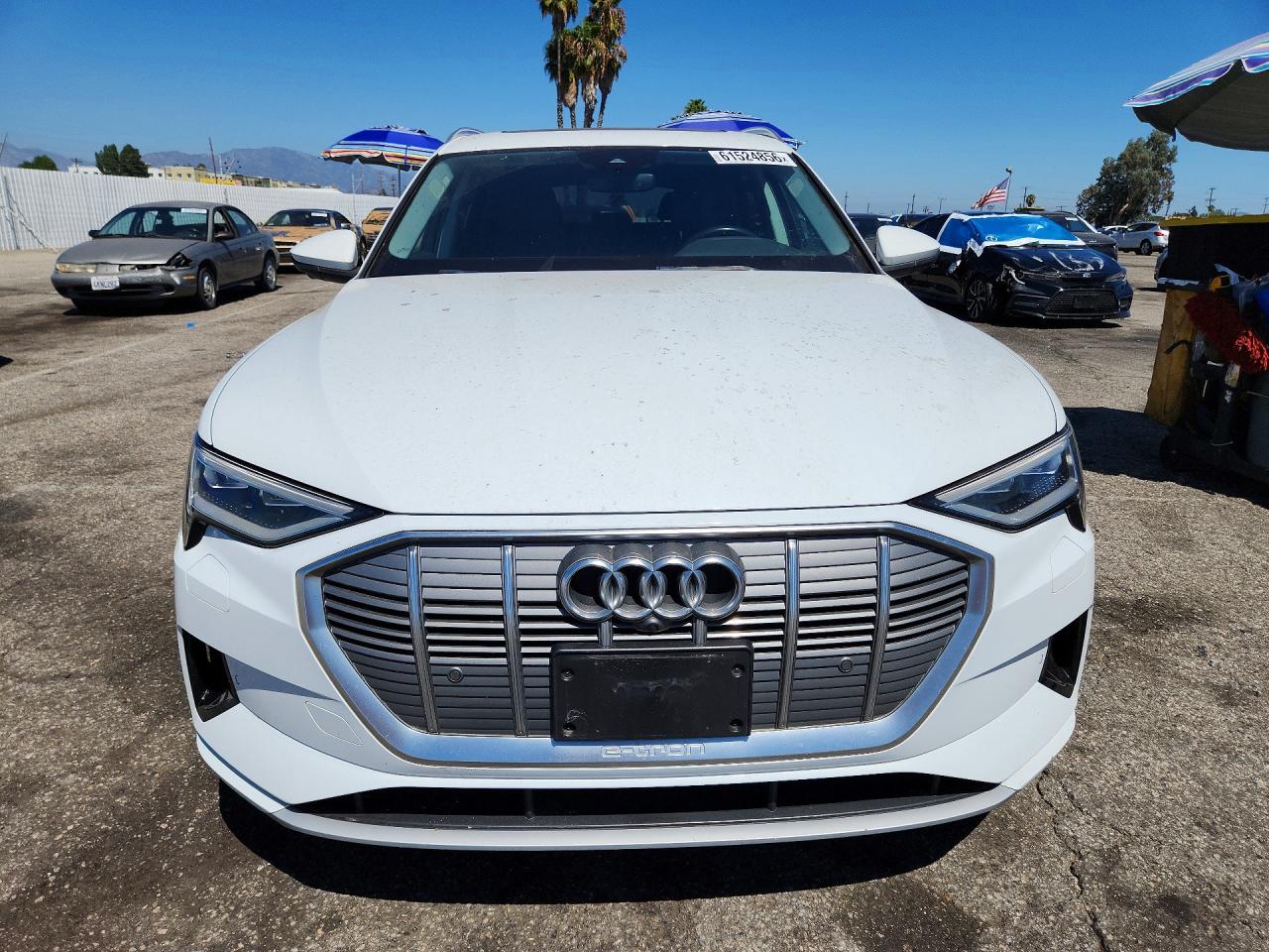 2019 AUDI E-TRON