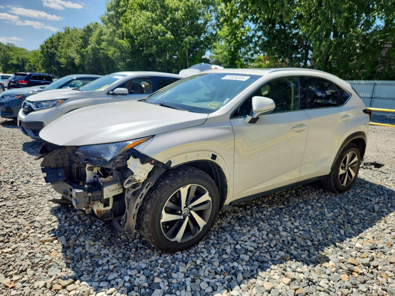 2018 LEXUS NX 300 300 Luxury