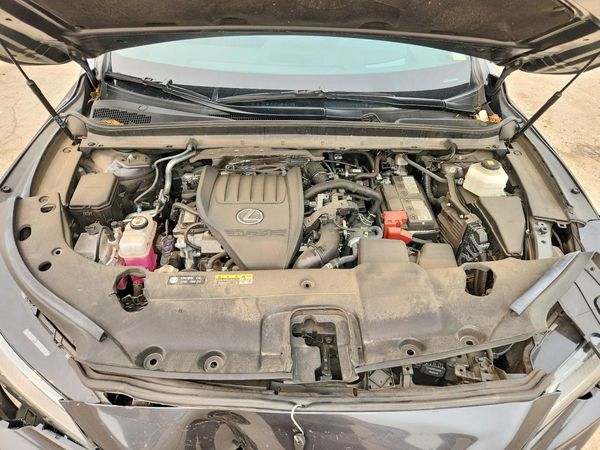 2024 LEXUS RX 350