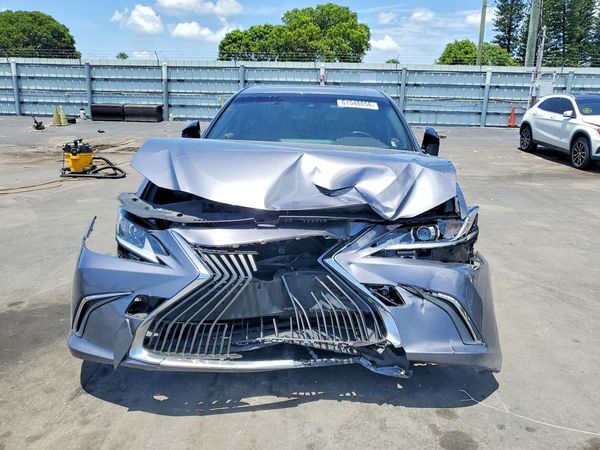 2019 LEXUS ES 300h