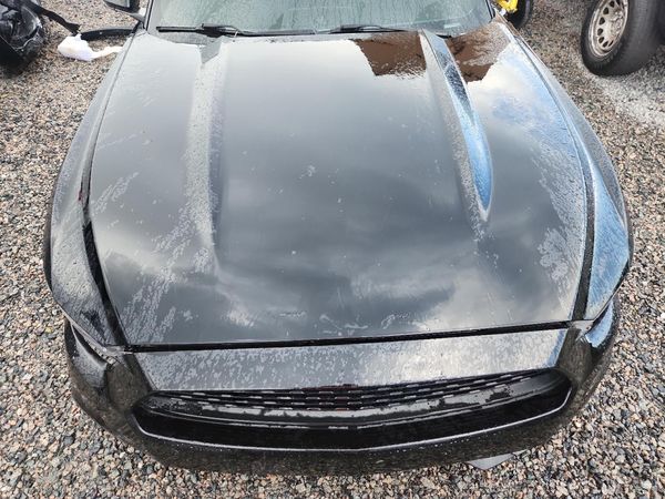 2017 FORD MUSTANG I4 Coupe