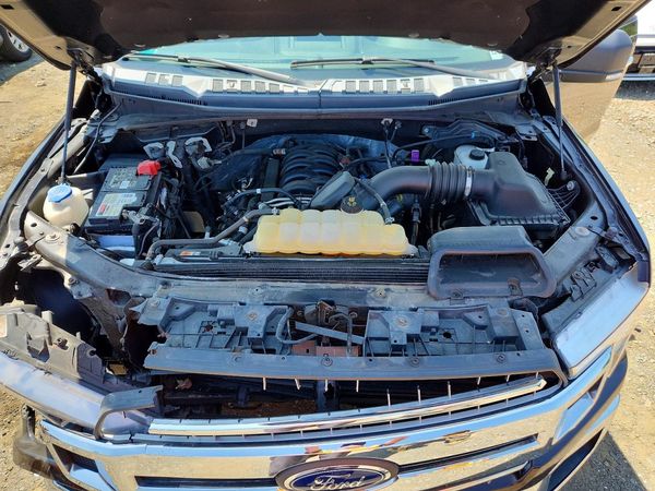 2019 FORD F150