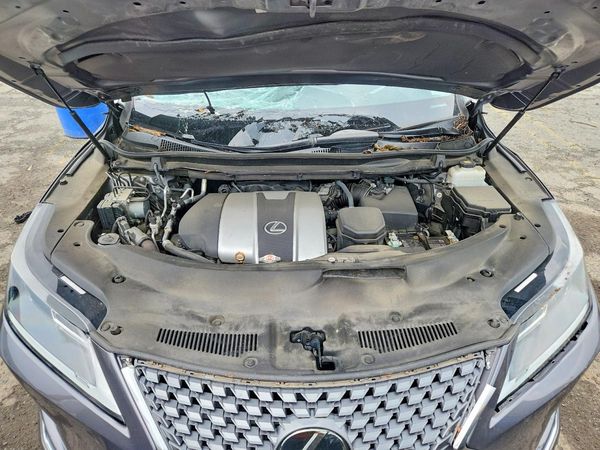 2020 LEXUS RX 350 Premium