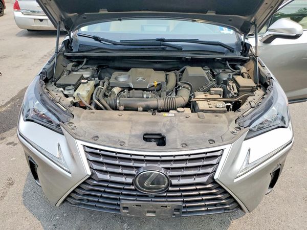 2020 LEXUS NX 300 Premium