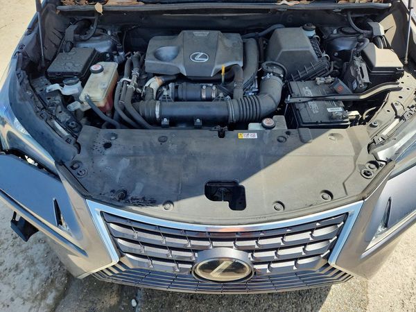 2021 LEXUS NX 300 300 Premium