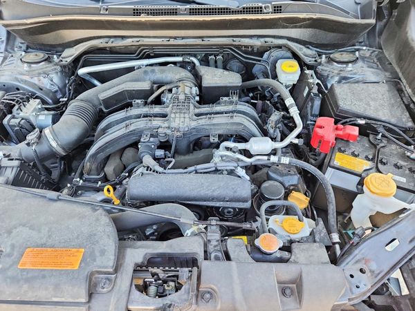 2025 SUBARU FORESTER Base Plus