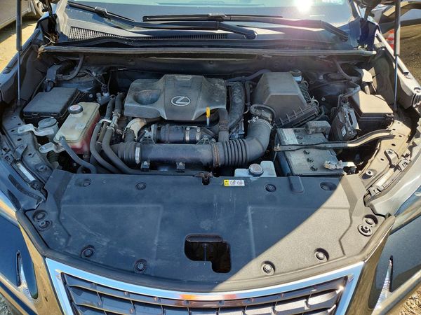 2020 LEXUS NX