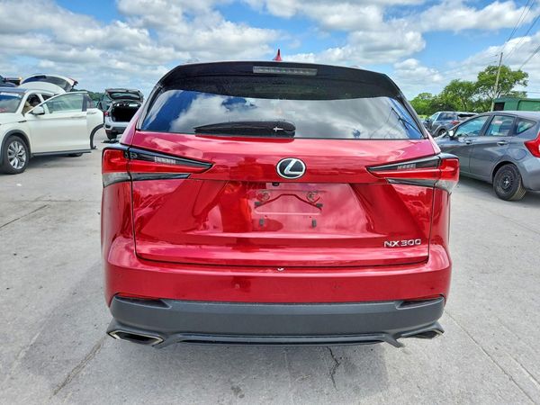 2019 LEXUS NX 300 300 Luxury