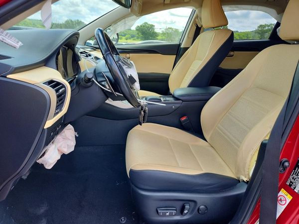 2019 LEXUS NX 300 300 Luxury
