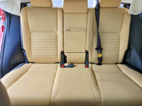 2019 LEXUS NX 300 300 Luxury