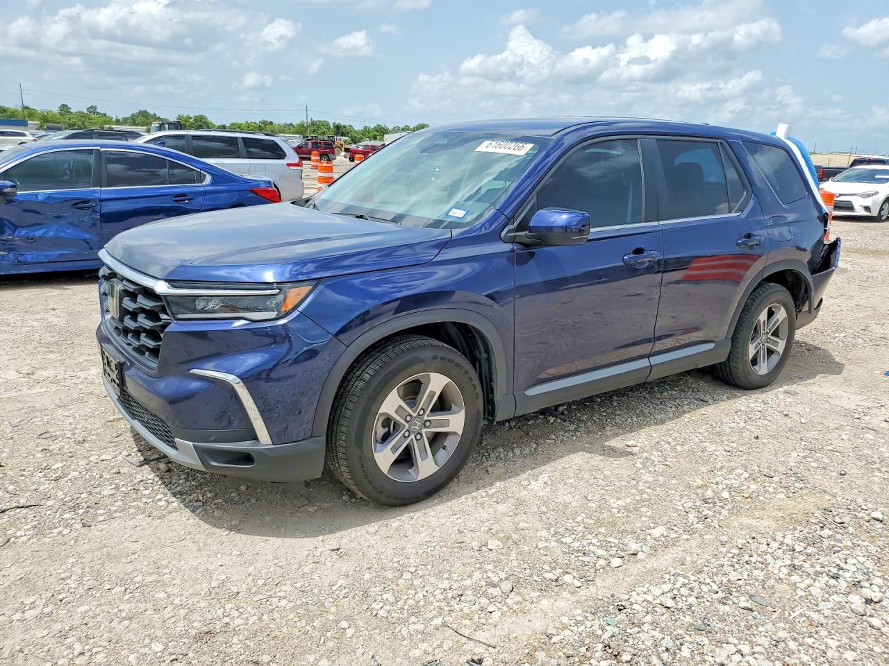 2025 HONDA PILOT EX-L, EX-L HPD