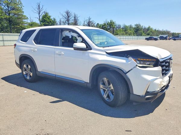 2024 HONDA PILOT EX-L