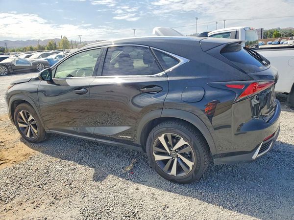 2019 LEXUS NX