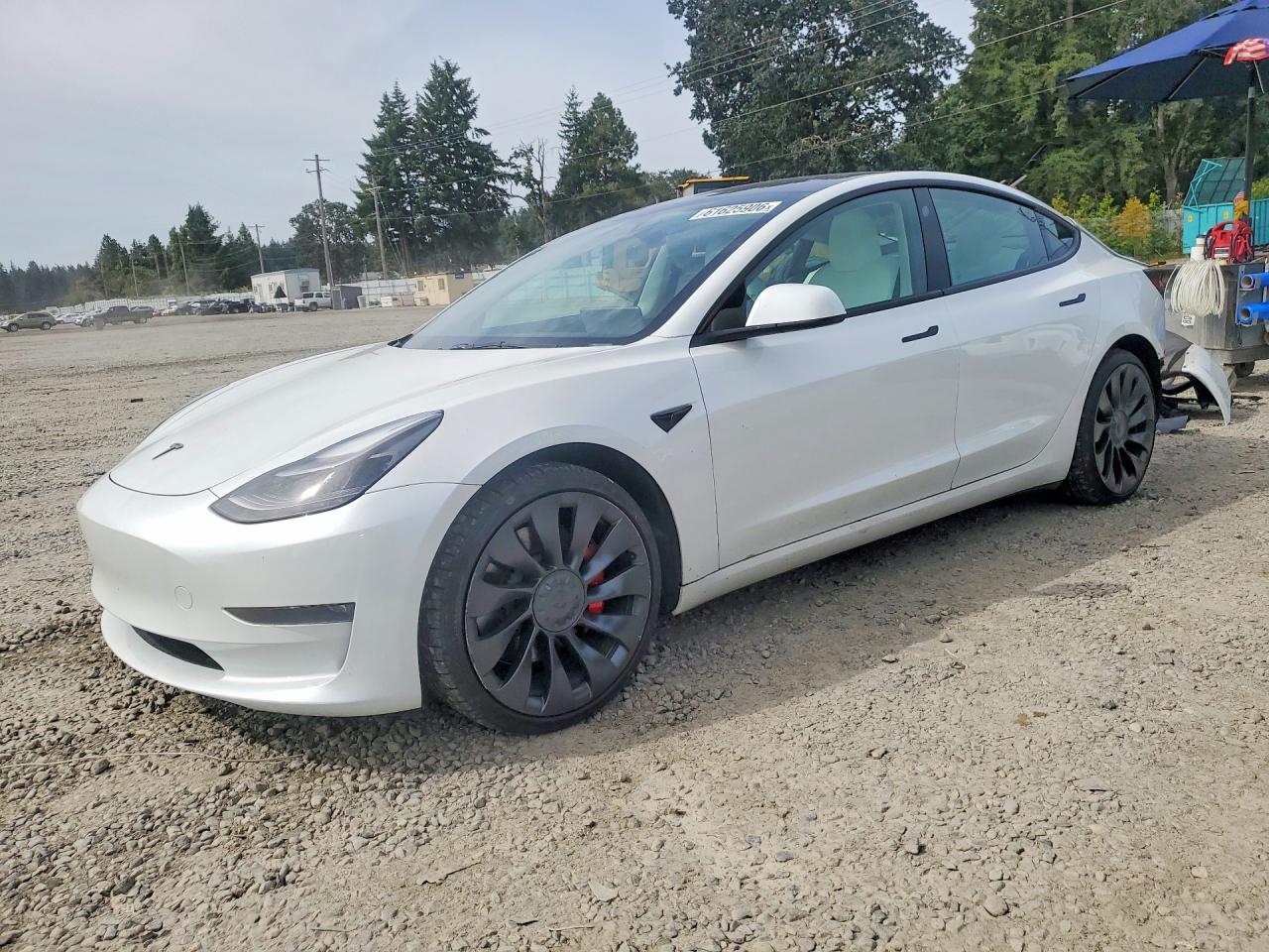 2023 TESLA MODEL 3