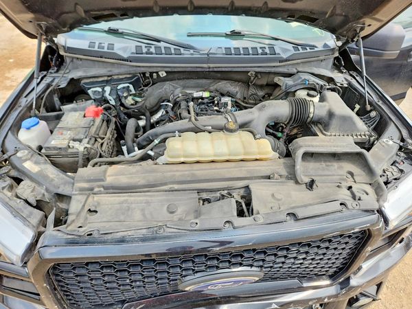2019 FORD F150