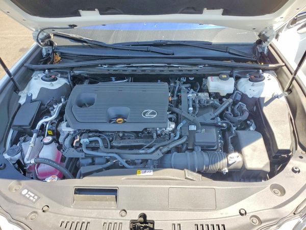 2025 LEXUS ES 300H 300h Luxury