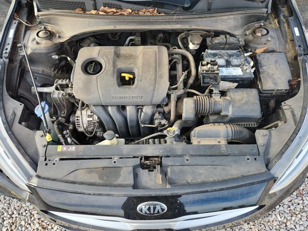 2019 KIA FORTE FE/LX/LXS