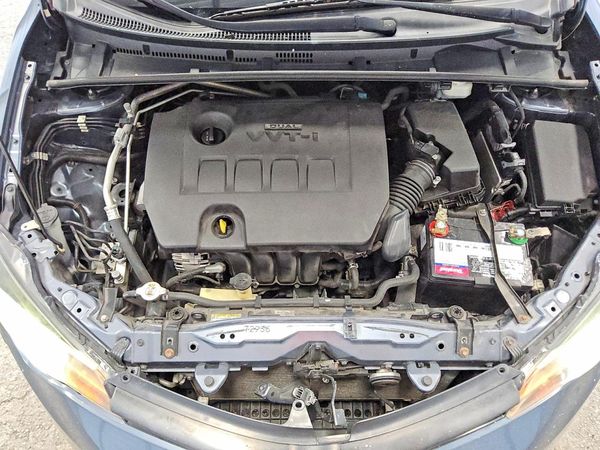 2019 TOYOTA COROLLA L/LE/SE/XLE/XSE