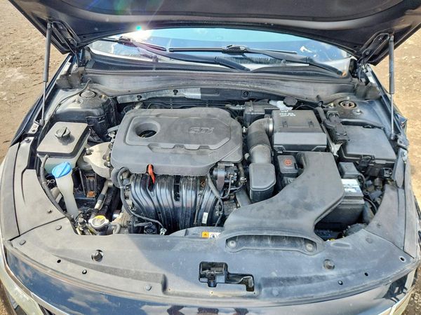 2019 KIA OPTIMA
