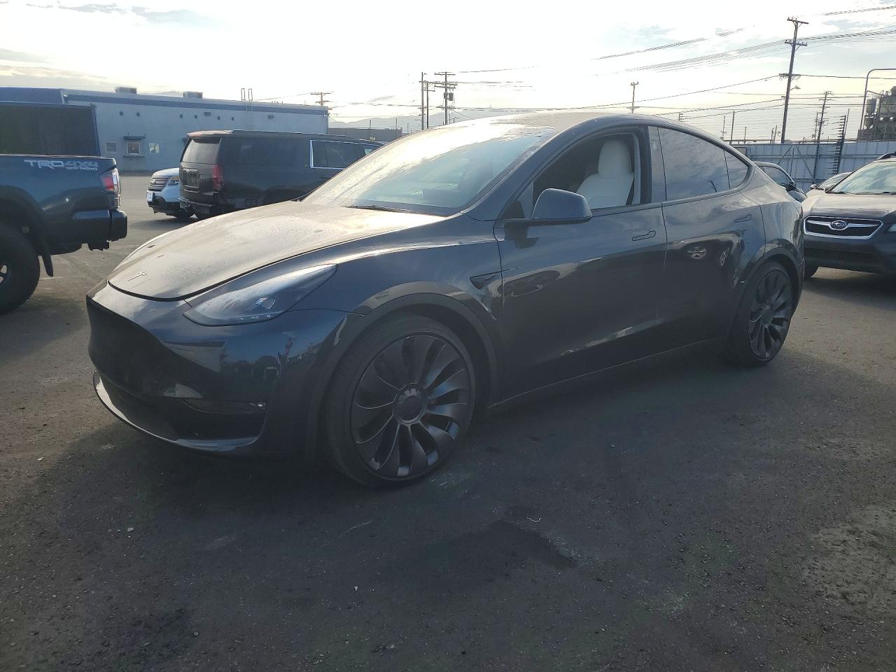2025 TESLA MODEL Y