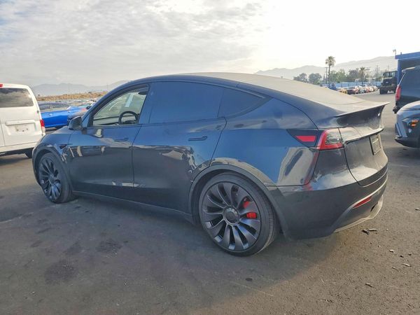 2025 TESLA MODEL Y