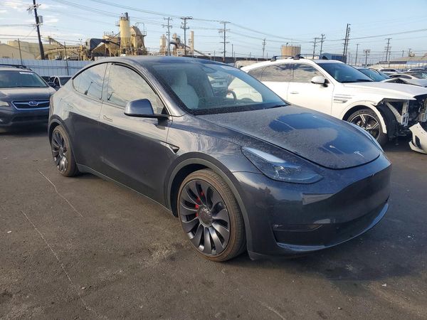 2025 TESLA MODEL Y