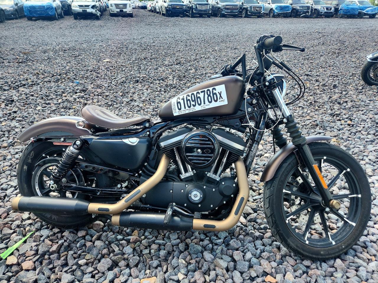 2019 HARLEY-DAVIDSON XL883
