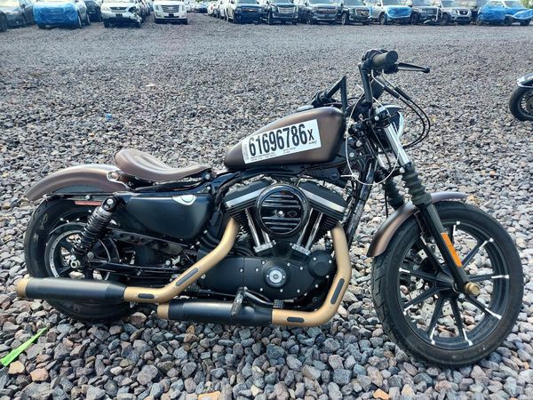 2019 HARLEY-DAVIDSON XL883